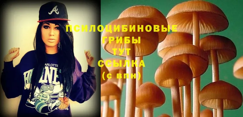 Псилоцибиновые грибы Magic Shrooms  это состав  Большой Камень 